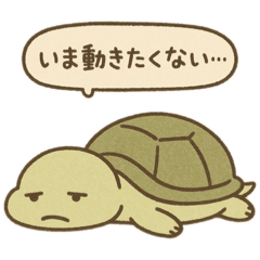 やる気ゼロのカメくん