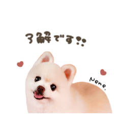 スフレちゃん♡ねねちゃんスタンダード.