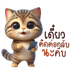 Sweet Tabby Vibes Cuteness in Every Word