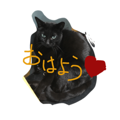 黒猫と雑種猫のスタンプ