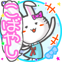 Rabbit's name sticker m008