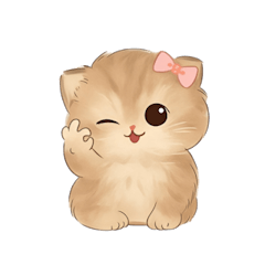 大きな目をした可愛い子猫 （NT）