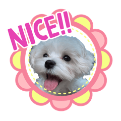 ⑩シア様  別バージョン