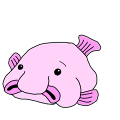 無。ブロブフィッシュ。