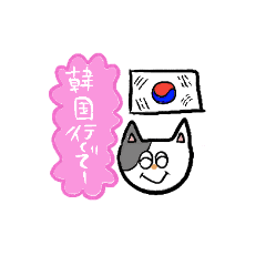 Korean favorite cat