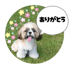 ⑩吹き出しいろいろ