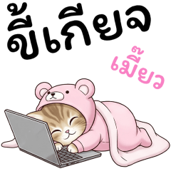 เมี๊ยวจัง ทำงานหนัก