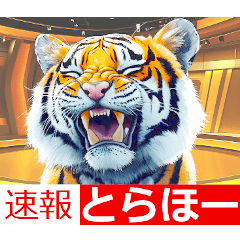 大阪神戸の野球好き虎ファン向け5とらほー