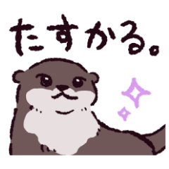 Otter!?