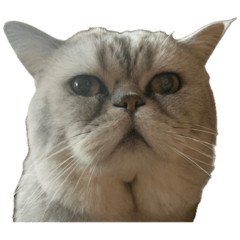 よーだスタンプ vol.1