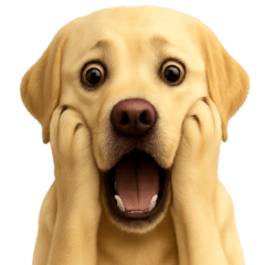 Labrador Retriever's reaction