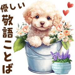 Gentle Toy Poodle Polite Messages