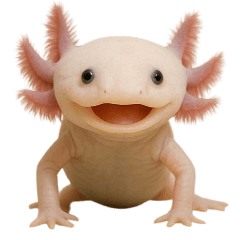 PAKAMOGOLY_20250617192026