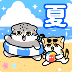 ゆるっとマヌルちゃん20 夏