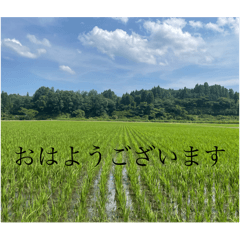 Takeru_20250620020547