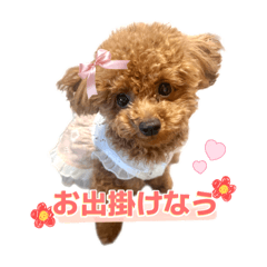 ベル姫ちゃん♡