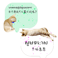 Cute orange cat's life diary-5-422