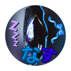 MyPaceExecution-_20250620182257