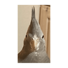 Hey!bonnjinn_20250620225538