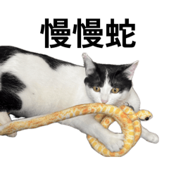 Rainie_20250621014600