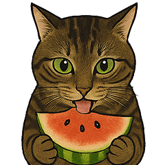 Cats Eats !!