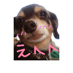 honodono