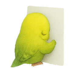 Budgie Family P & Q - Sorry