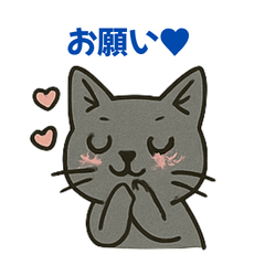 russianblue no russiboo