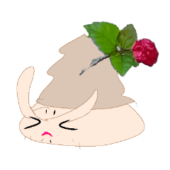 michelle_20250621154439