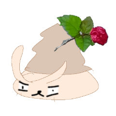 michelle_20250621154647