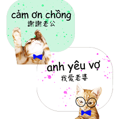 (Vietnam) Cute orange cat's life diary