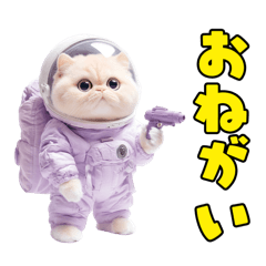 惑星Xからの物体ねこ