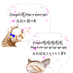 Cute orange cat's life diary-11-428