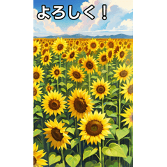 sunflower collection