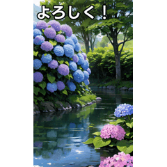 Hydrangea Collection