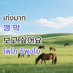 good greate 370041902647