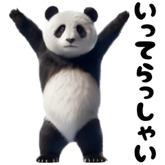 dance Panda dance