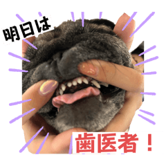 emi_20250622114857