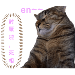 Rainie_20250623002112