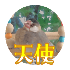 Unicorn_20250622230242