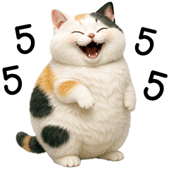 Calico Chubby cat very cute