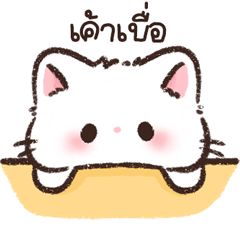 น้องเหมียวมิรุ
