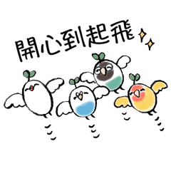 小鳥大集合！有時還有小文鳥