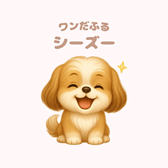 Wandafull | Shih Tzu