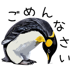 普段使いできるリアルなペンギンスタンプ