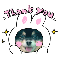 かわいい仲間たちをよろしくね