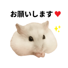 Hamster * Kurumi's Life vol.1
