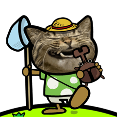 動くキジトラ猫６(夏２)