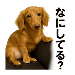 tommy_20250619215104