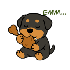 Rottweiler the best friend of your dog